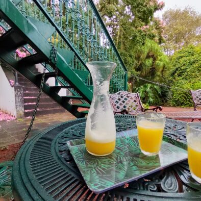 Plantação de Ananás dos Açores