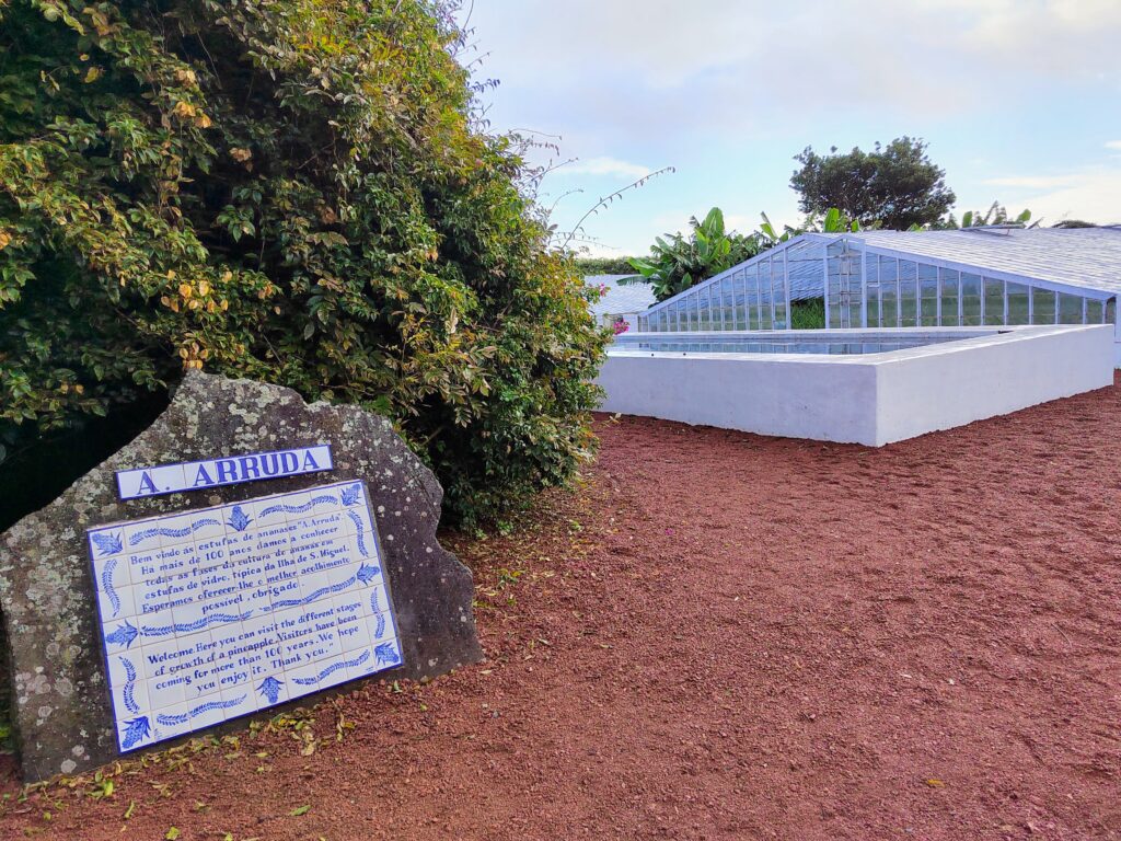 Plantação de Ananás dos Açores